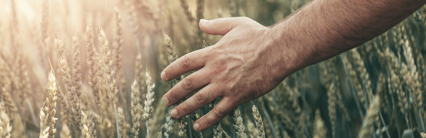 Neofect Smart Glove GLCA3 у нейрореабілітації